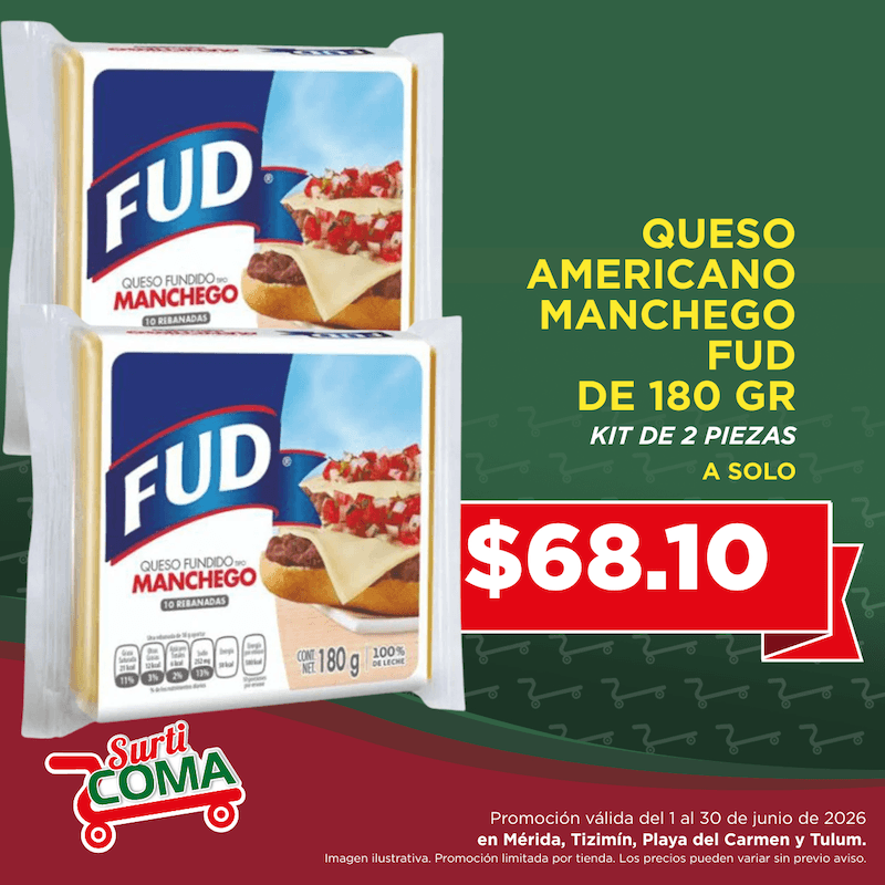 QUESO AMERICANO MANCHEGO FUD 180GR